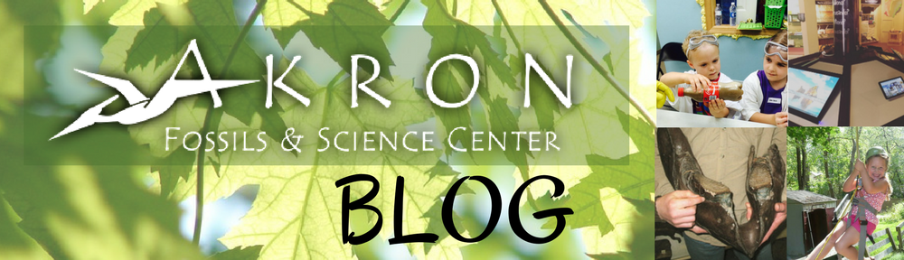 Akron Fossils & Science Center's Blog